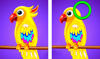 Where is the difference?