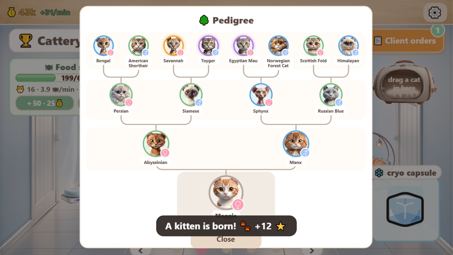 Catlab — screenshot 18