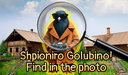 Shpioniro Golubino! Find in the photo
