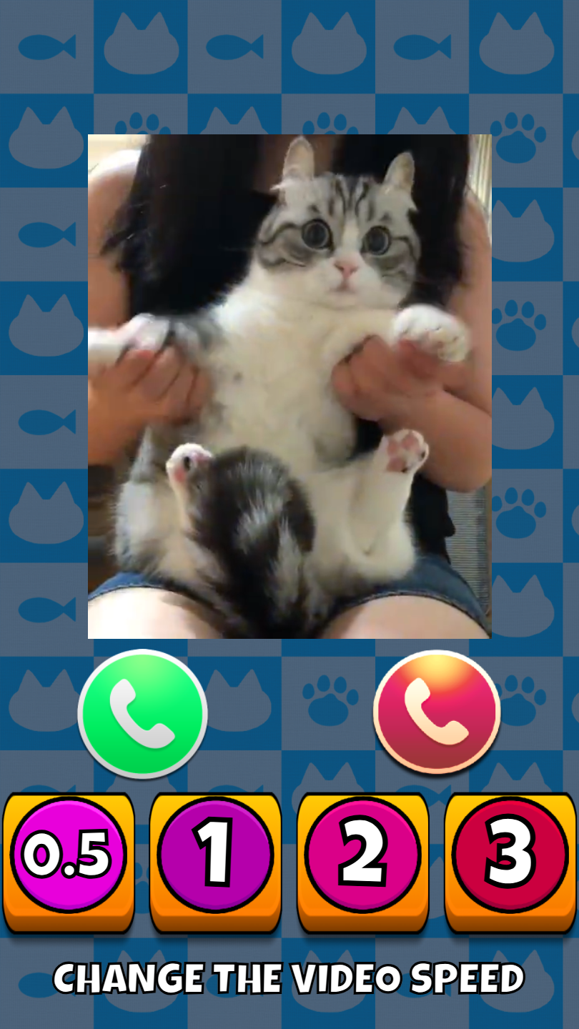 Komaru cat screenshot 10