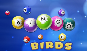 Bingo Birds