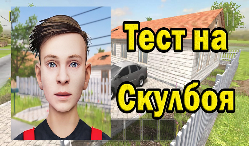 Тест на Скулбоя game cover