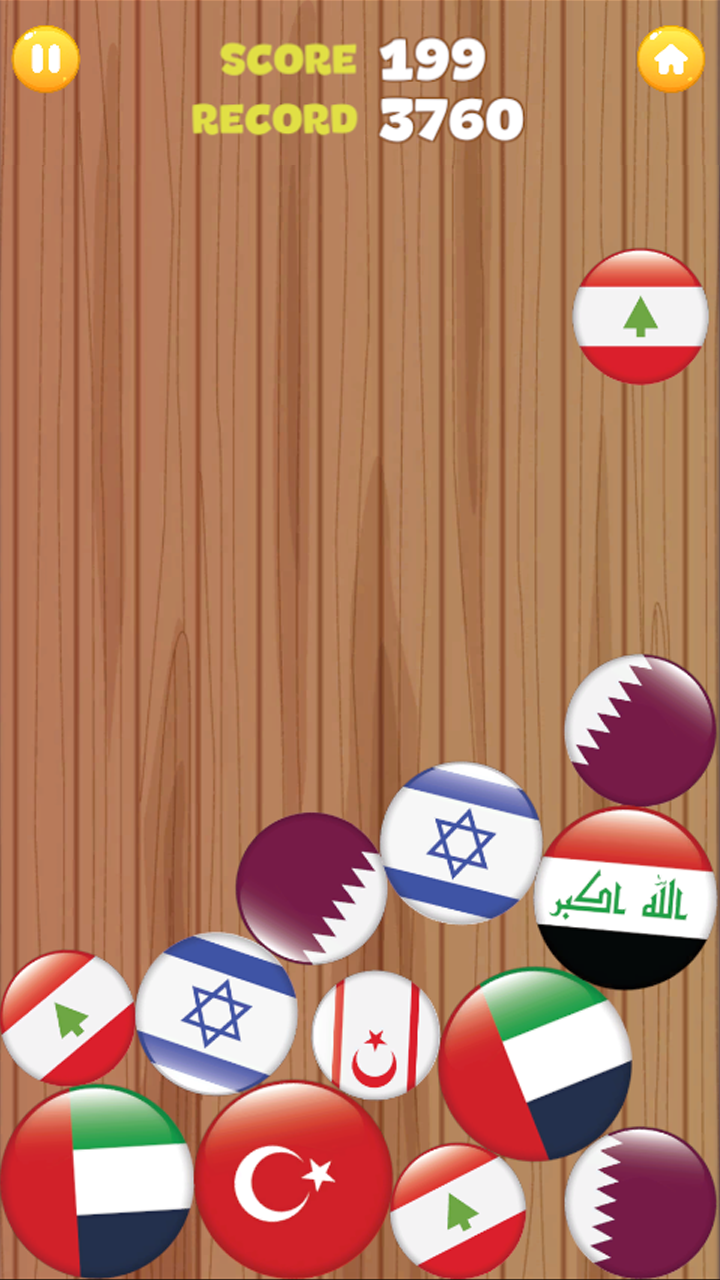 World flags merge screenshot 7