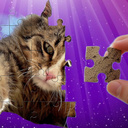 Classic Puzzles