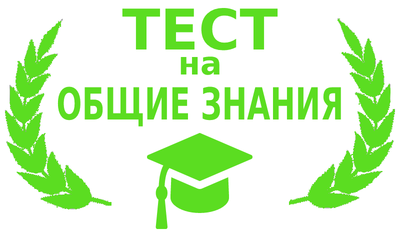 Тест на общие знания game cover