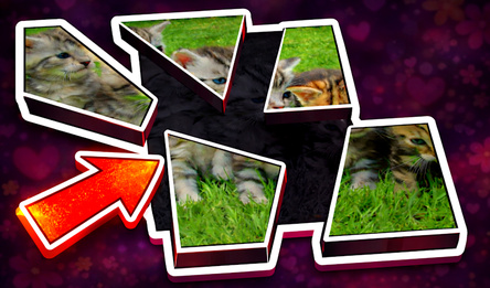 Shards 3D