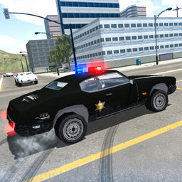 Driver's Mod