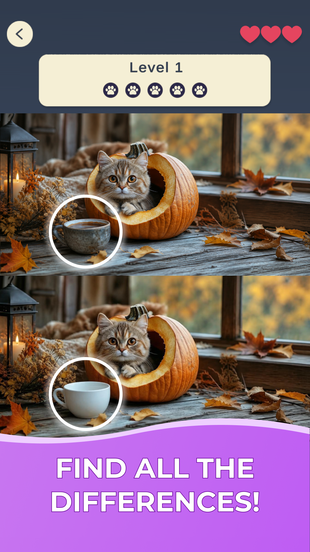 Spot the Difference: Cozy Cats screenshot 6