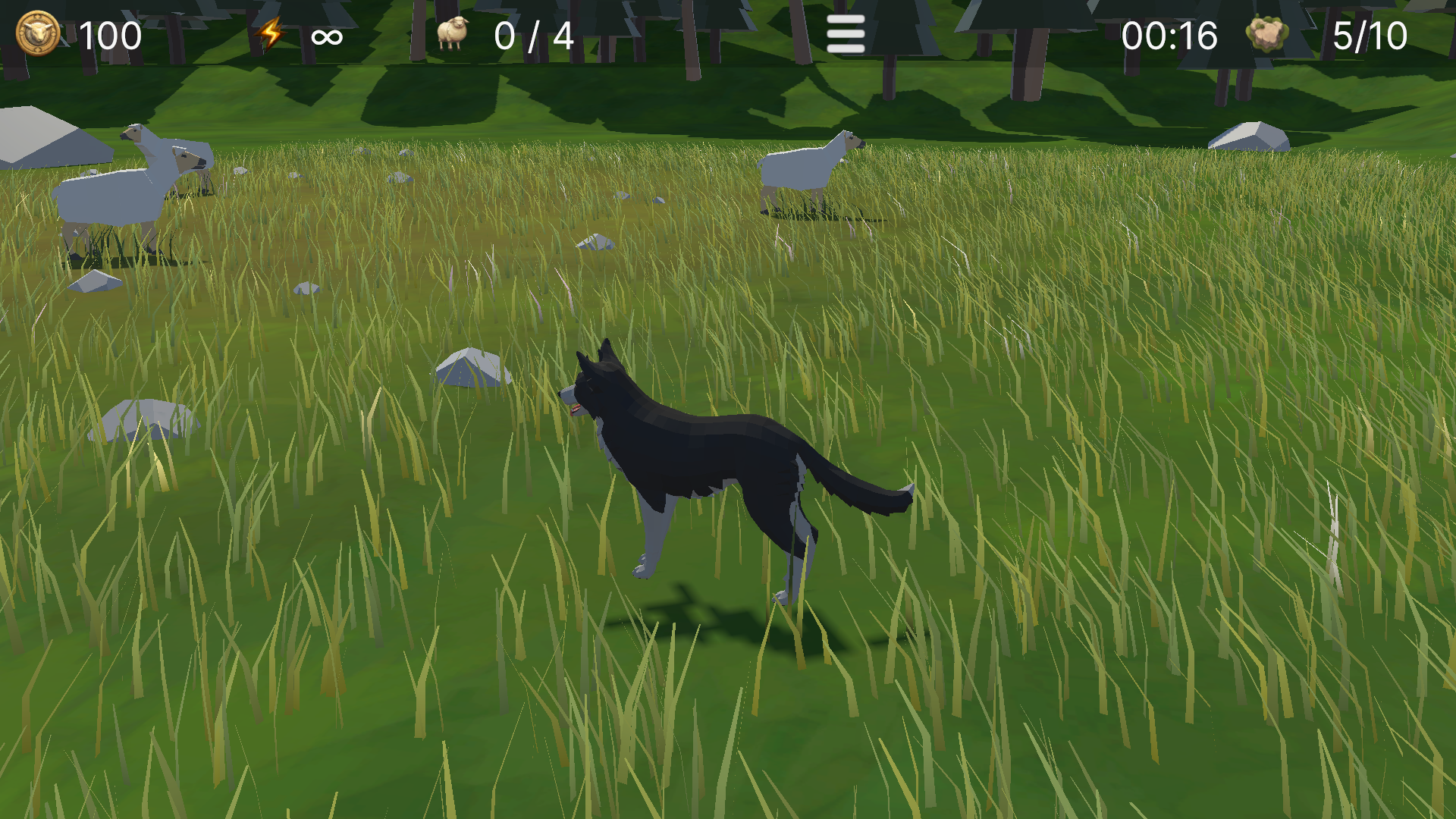 Border Collie: Sheep Dog — screenshot 1