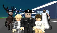 Hide and Seek at the Airport: Theft Plane