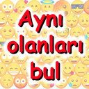 Aynı olanları bul