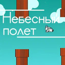 Небесный полёт