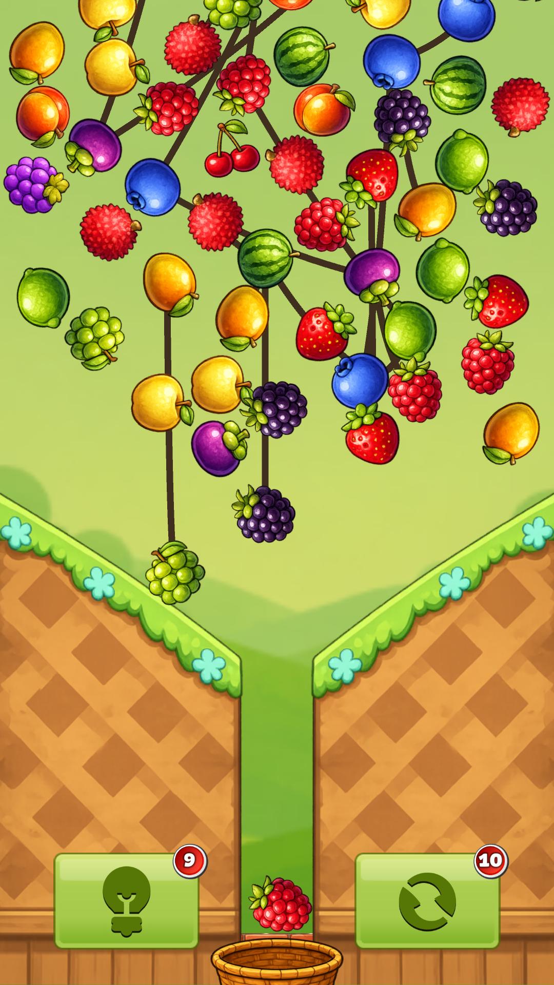 Fruits. Physical Connection screenshot 5