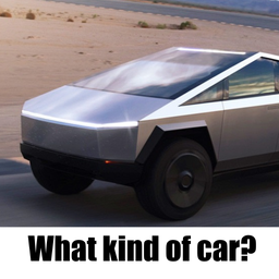 What kind of car?