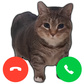 Call the cat Oia Oia: Clicker Spiel