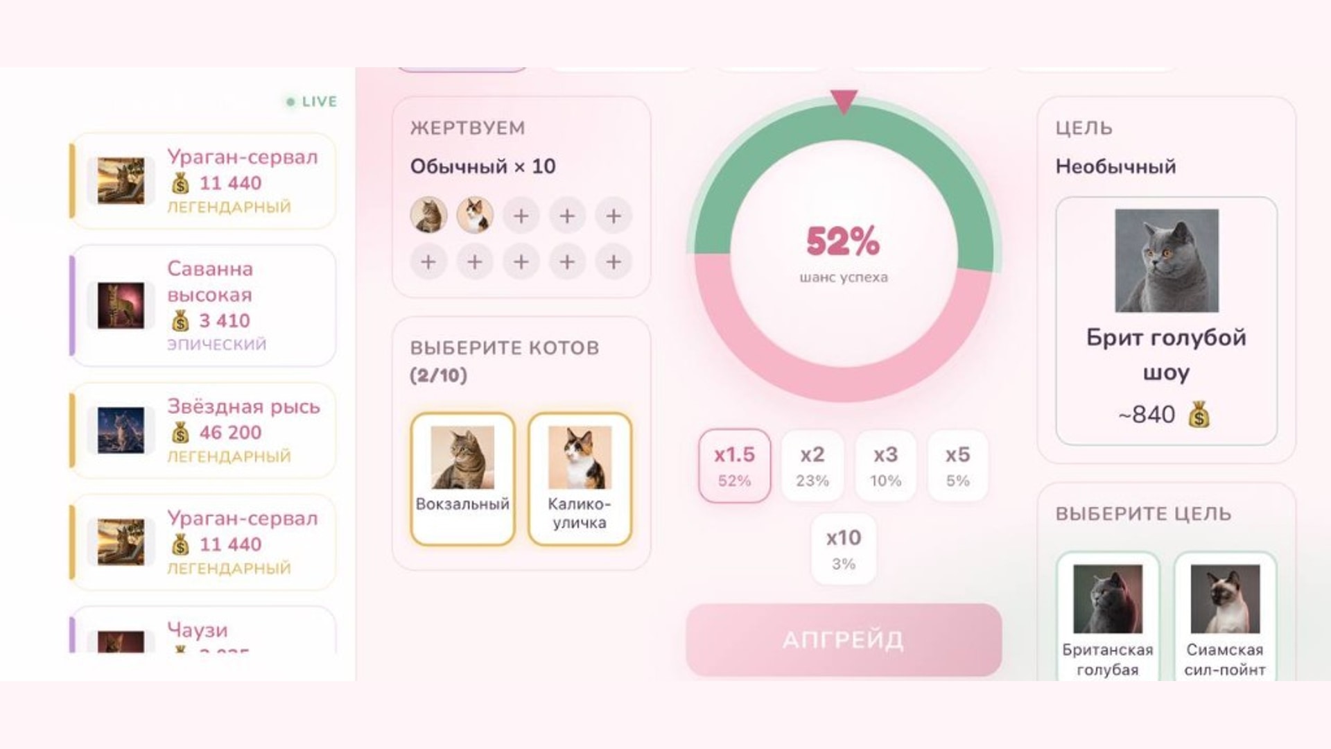 CatsCase — screenshot 6