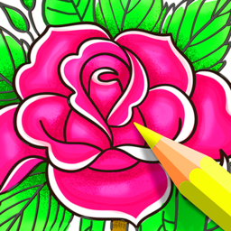Mandala Coloring Book