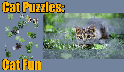 Cat Puzzles: Cat Fun