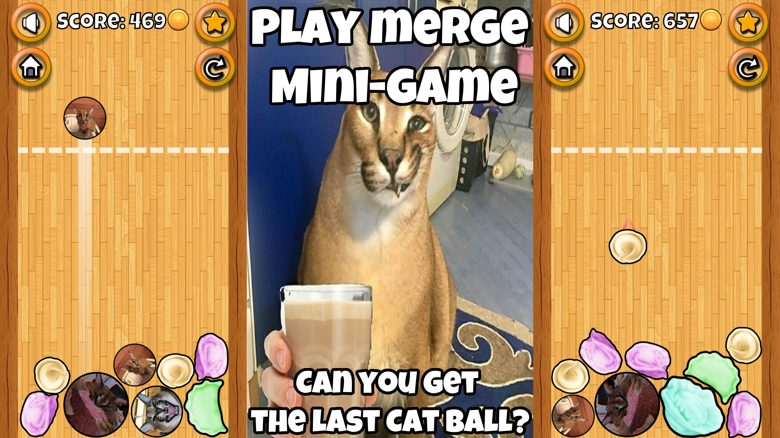 My pet Floppa screenshot