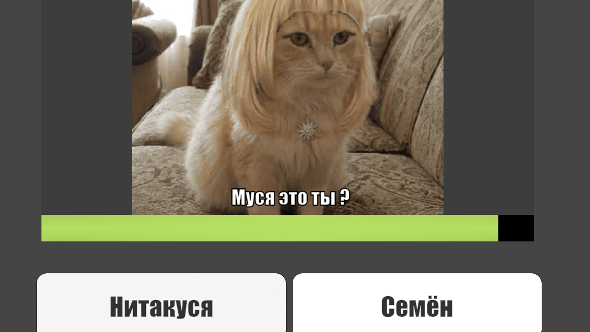 Муся это ты? — screenshot 2