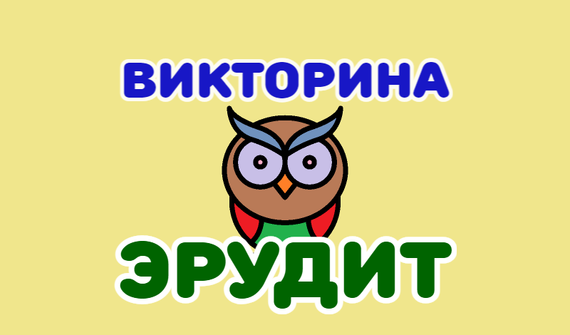 Викторина Эрудит game cover