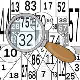 The Digital Puzzle: Find all the numbers!
