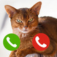 Позвони котикам