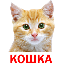 Карточки для детей