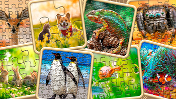 Cute Jigsaw Puzzles - Animals
