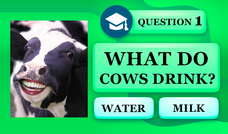 Trivia Quiz: Live Nature game cover