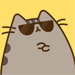 Shake the Pusheen Cat!