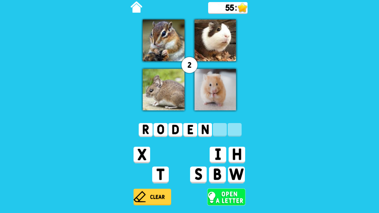 4 Photos and a Word screenshot
