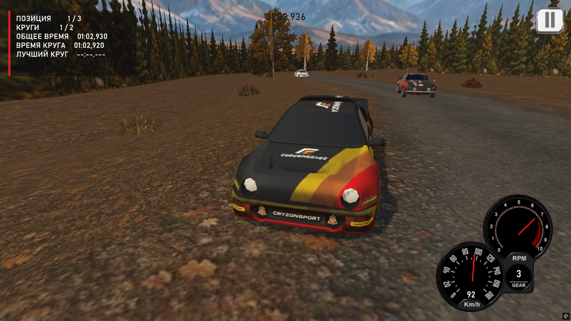 Cryzonsport Rally — screenshot 3
