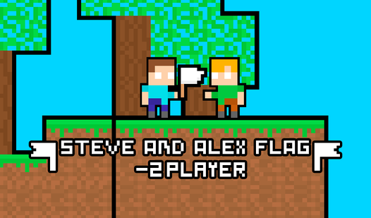 Steve and Alex Flag - 2 Player