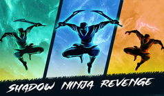 Schatten Ninja Rache