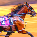 Harness Racing