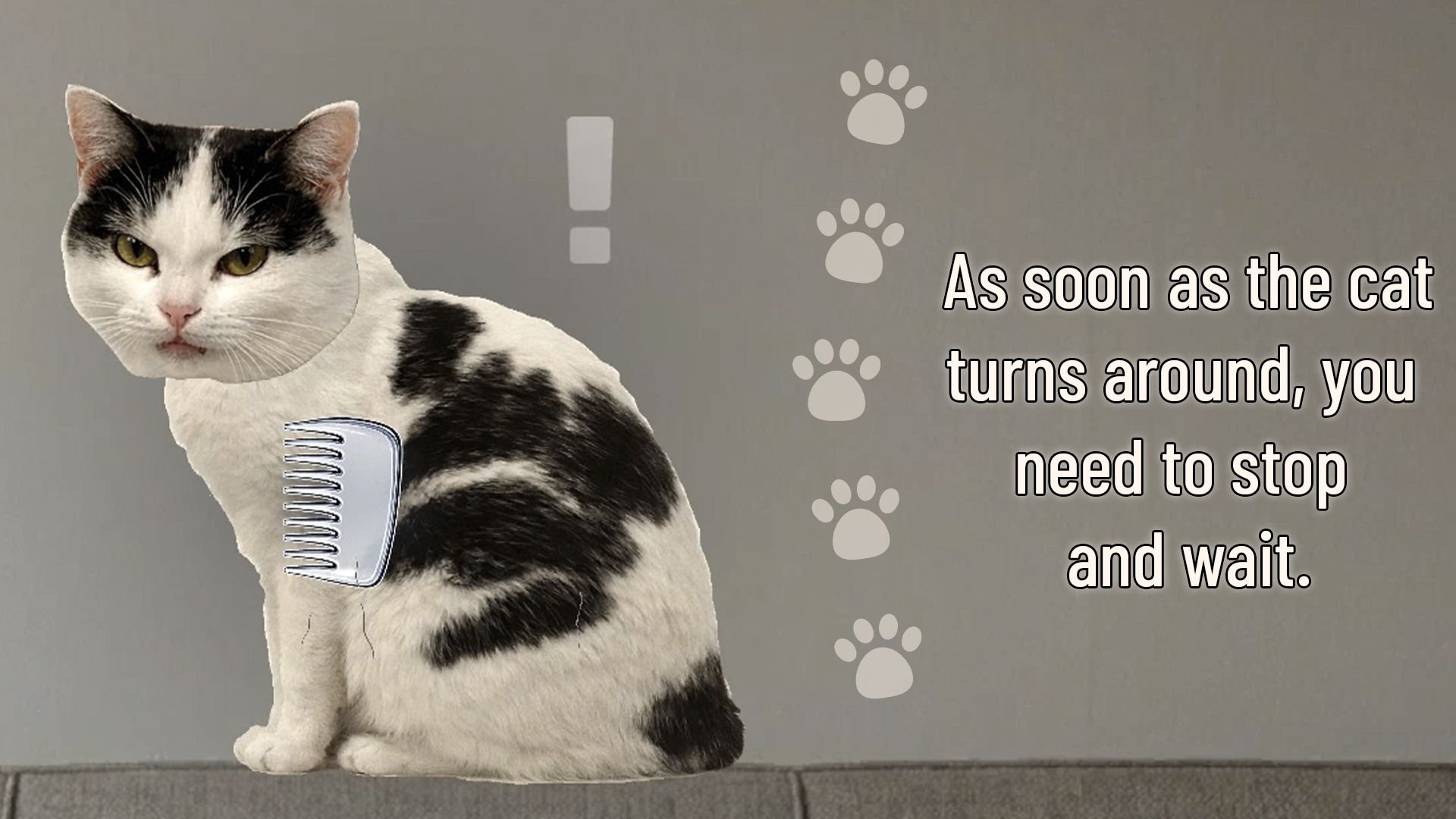 Comb it! While cat is not looking — screenshot 2