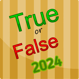 True or False 2024 — Playhop