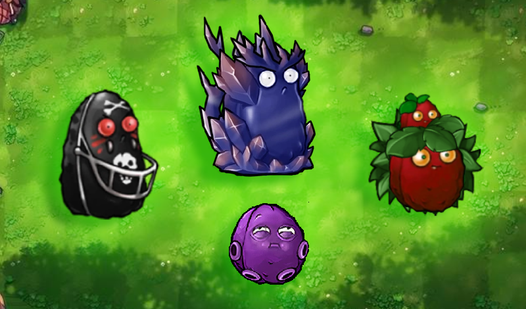 Nut Hybrids: Hybrid Farm