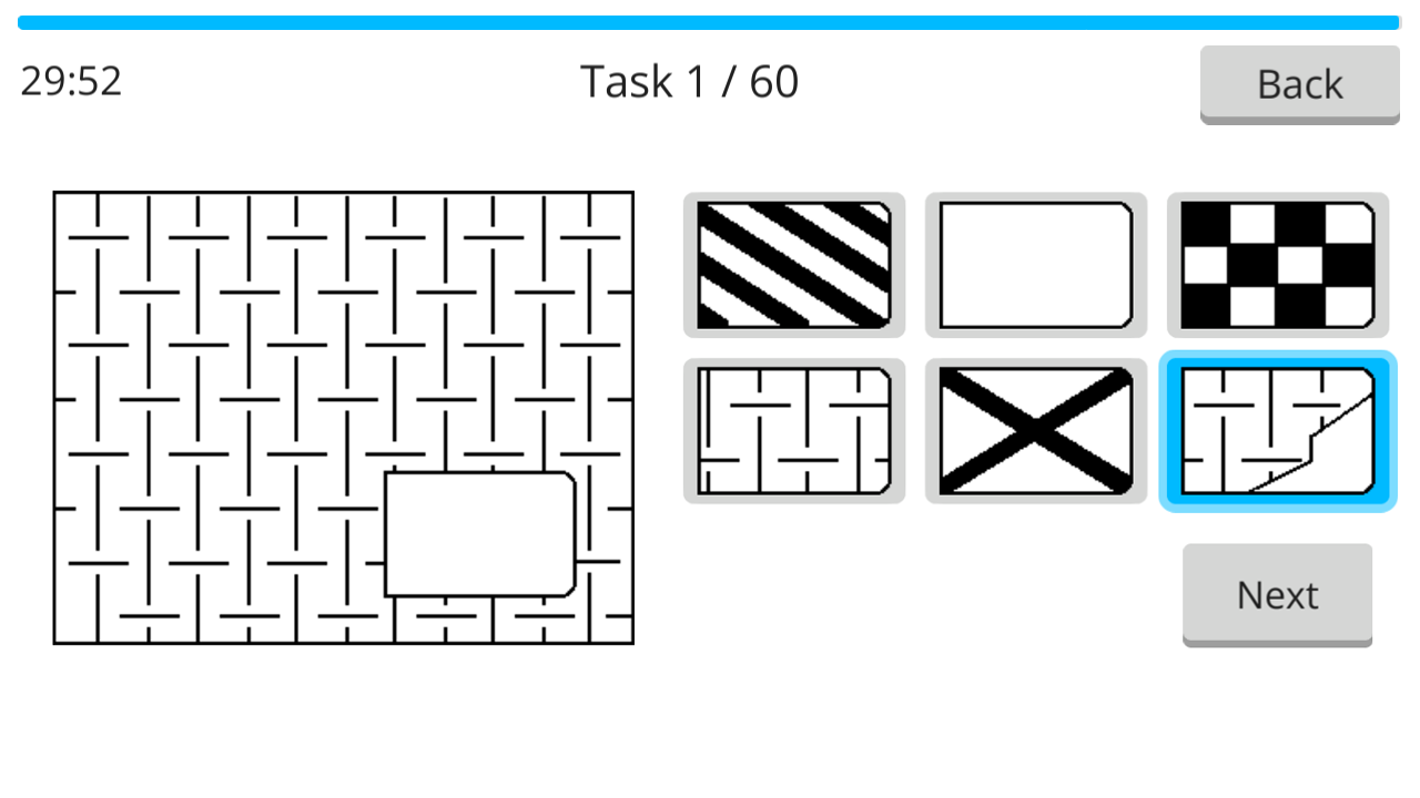 Raven IQ Test screenshot