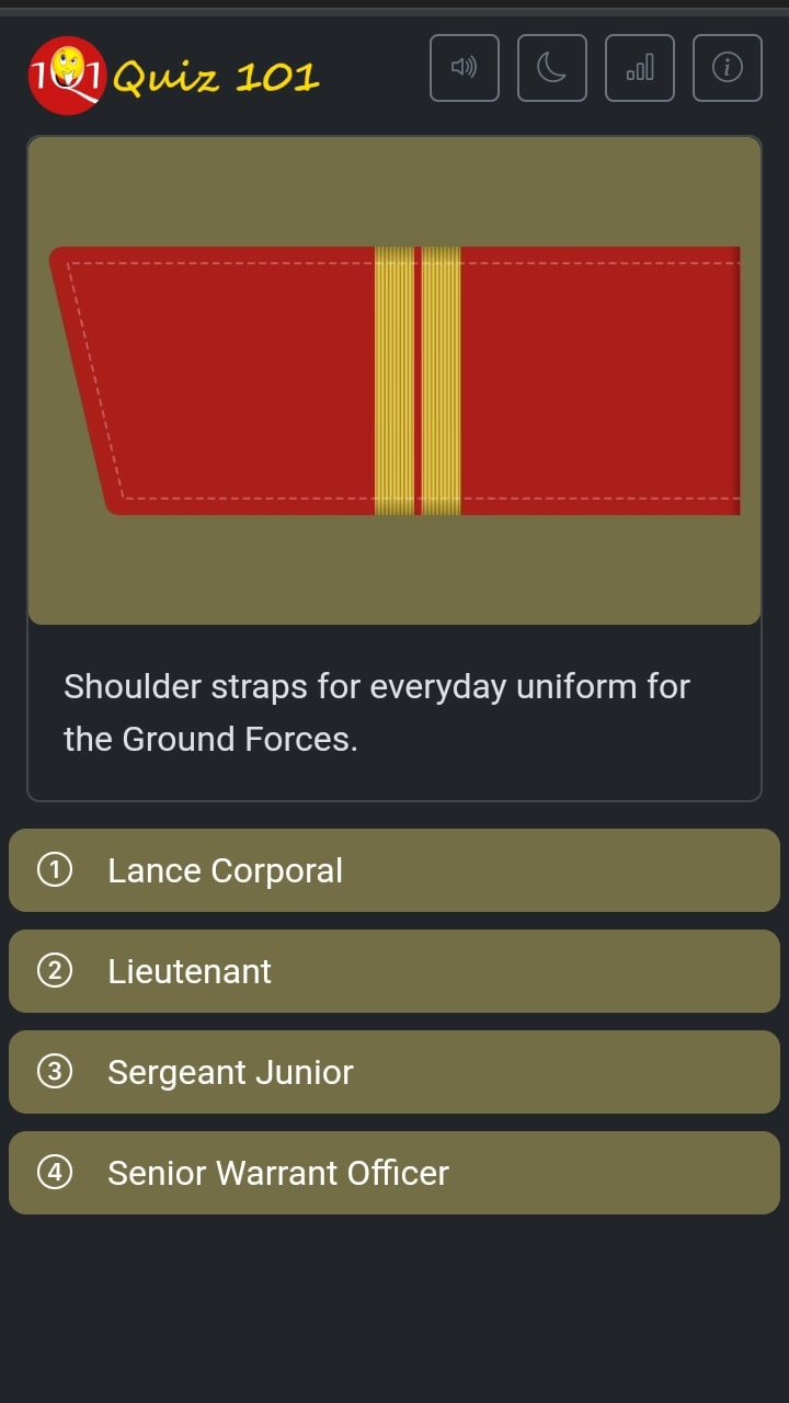 Guess the Russian Shoulder Straps screenshot 7