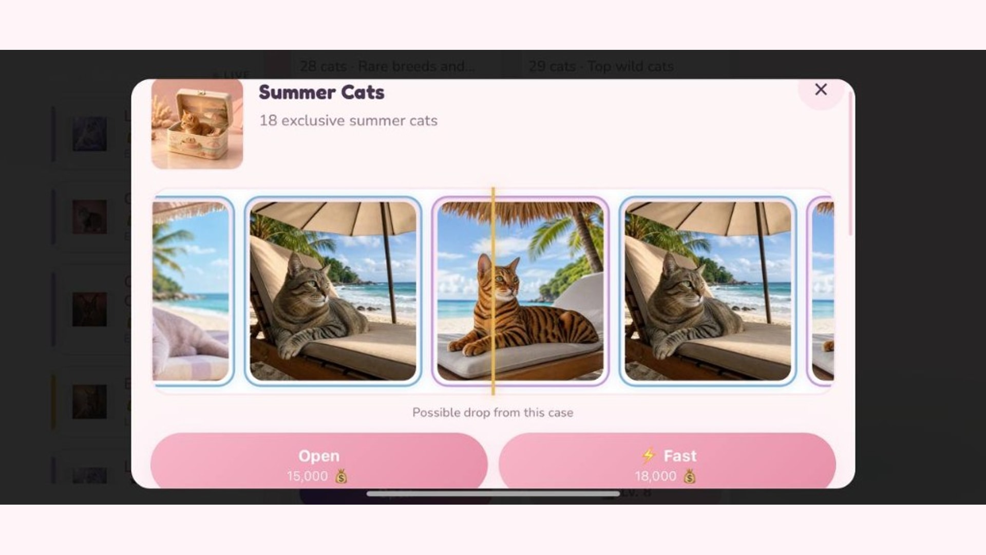 CatsCase — screenshot 4