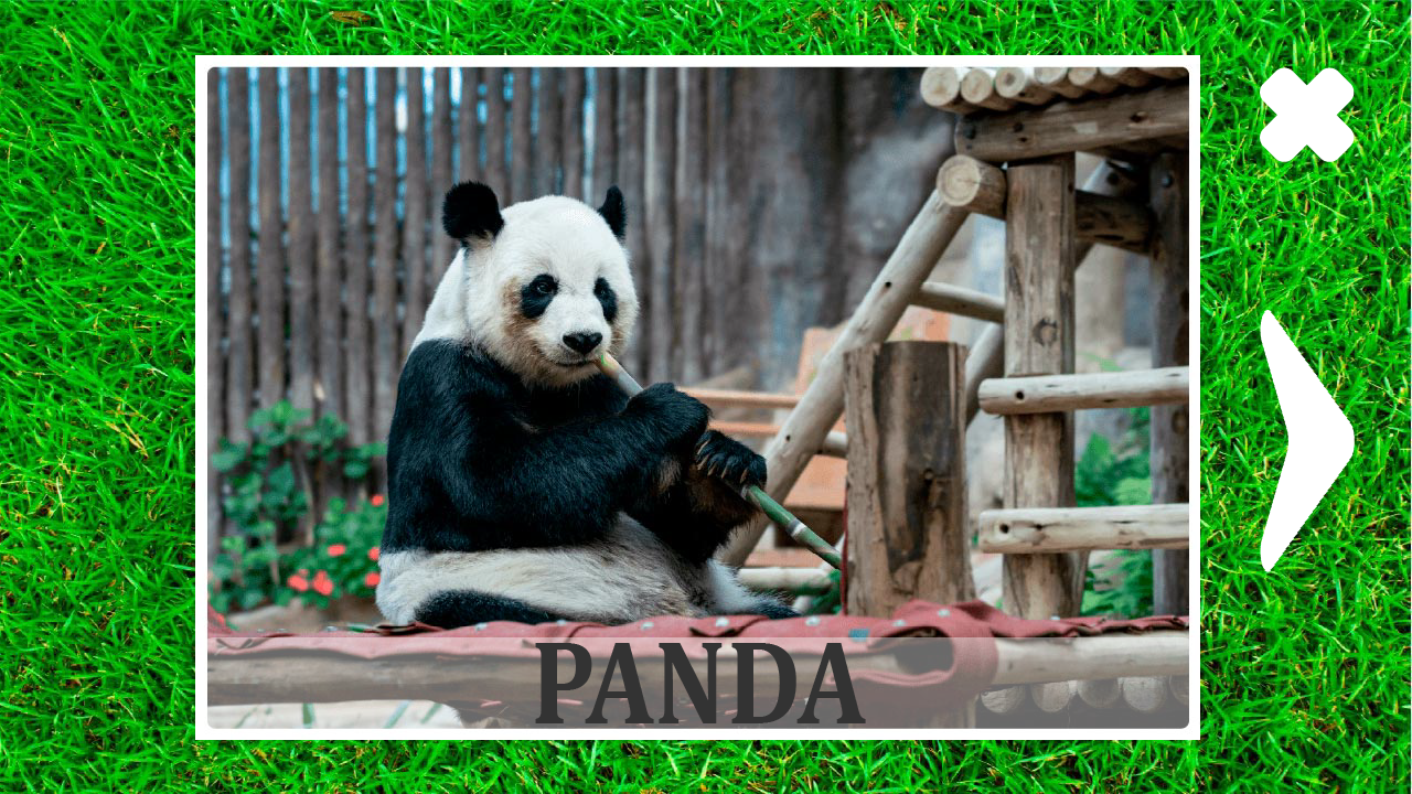 Animals for kids and their sounds — screenshot 12