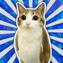 AniMerge