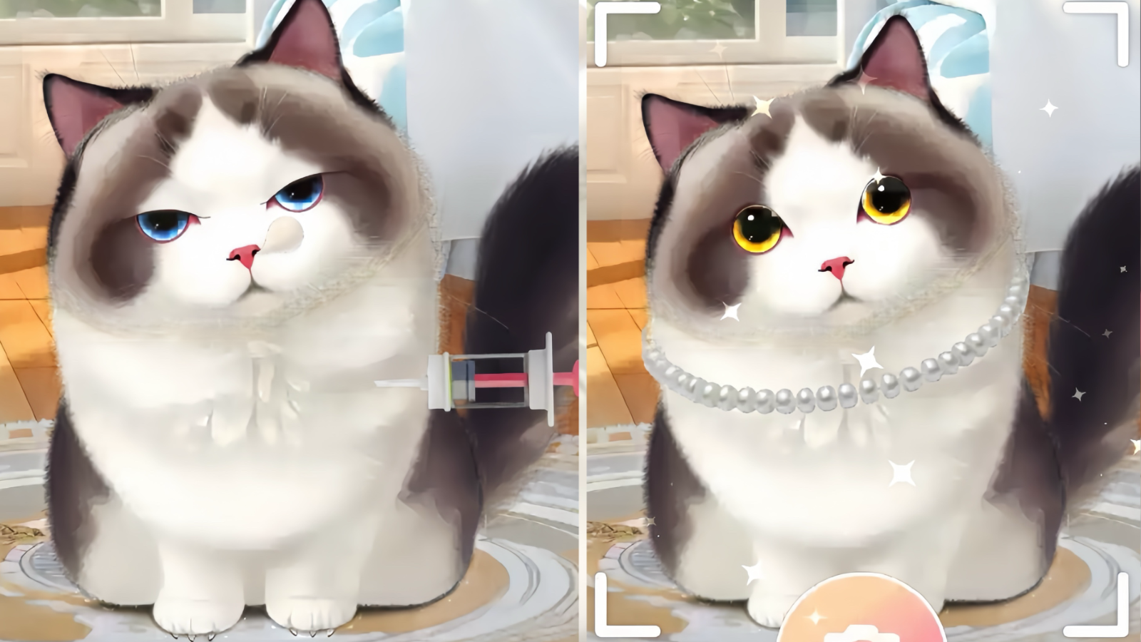 Fluffy Friends Makeover screenshot