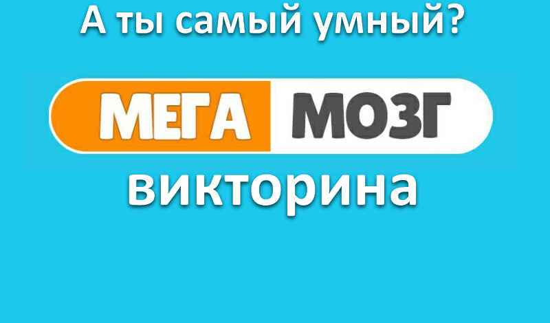 МегаМозг: викторина game cover