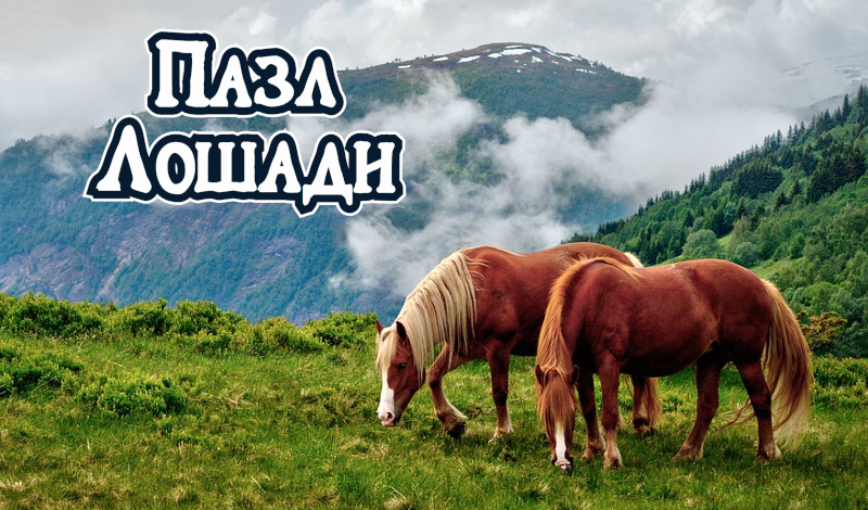 Horses Jigsaw Puzzle game cover