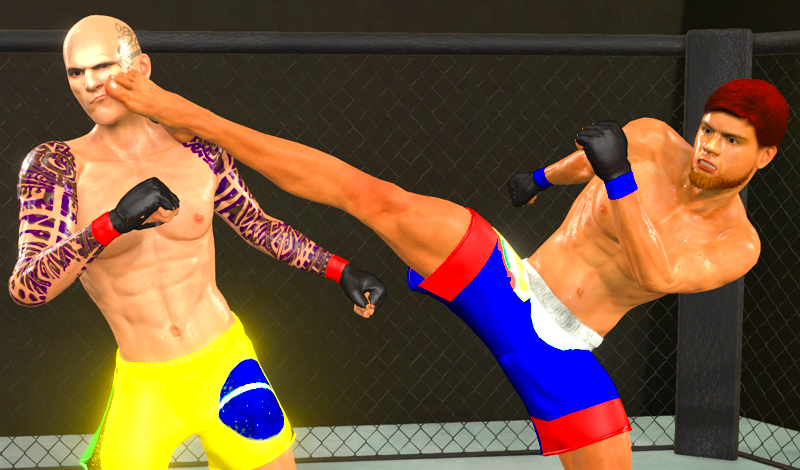 MMA fighting 3D game cover