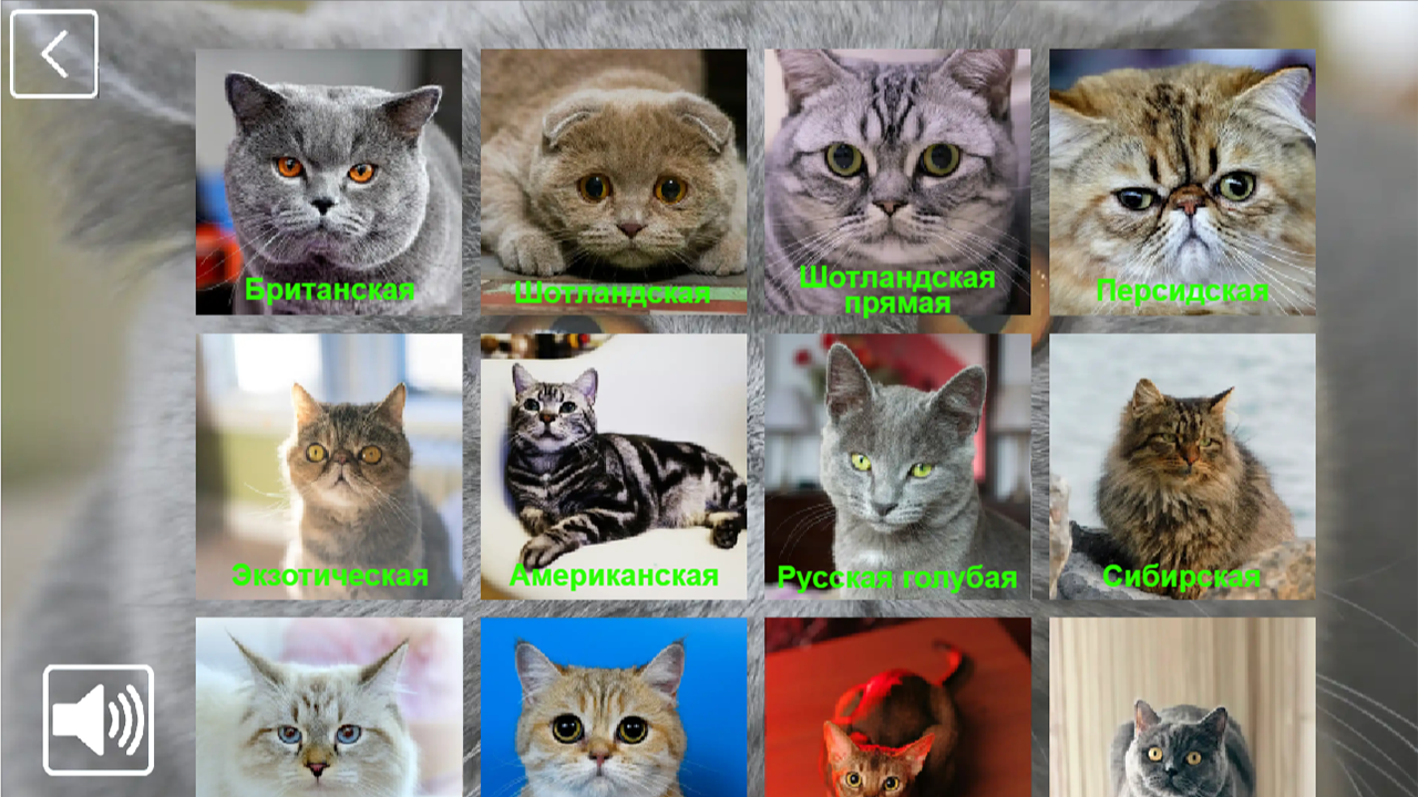 КотоКоллекция: 48 Пород — screenshot 1