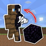 Create a skin from blocks in Mine